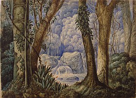 Selva brasileira, aquarela, acervo do Museu Júlio de Castilhos