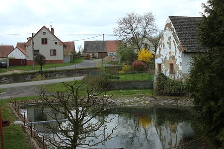 Étang à Břežany.