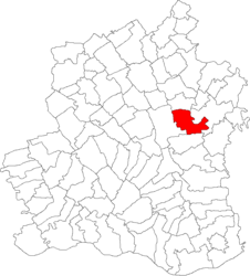 Location in Teleorman County