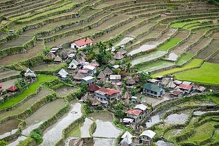 Banaue at Rice Terraces of the Philippine Cordilleras, by Cccefalon