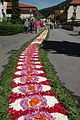 Der Blumenteppich in Mühlenbach zählt zu den größten seiner Art in Deutschland.