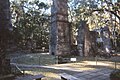 Bulow Plantation Ruins