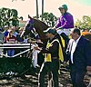 California Chrome at the 2014 San Felipe Stakes