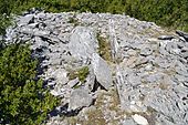 Dolmen des Fourques