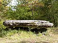 Dolmen de la Peyro Levado