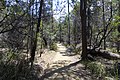 Kurzer Rundwanderweg am Eingang des Parks