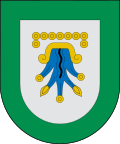 Blason de Chignahuapan