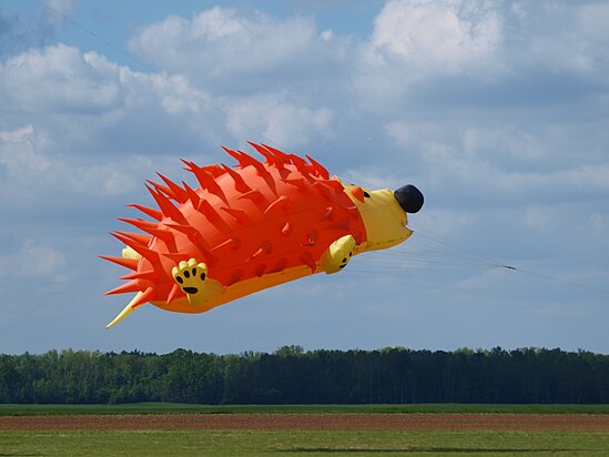 Fly like an Igel!