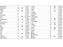 Est profile based on tissue type.