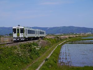 石巻線を走行するキハ110系 （2016年5月 佳景山駅 - 鹿又駅間）