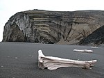 Zdjęcie przedstawia wyspę Jan Mayen. Na pierwszym planie znajdują się fragmenty drzewa. W tle widać dużą skałę.