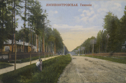 Посёлок. Гимназия, в 1910-х