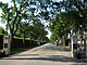 View looking down tree-lined Next of Kin Memorial Avenue