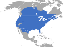 Map showing distribution of striped skunk in North America