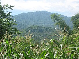 Mount Banoy.jpg