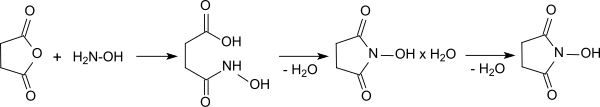 Wasserfreies N-Hydroxysuccinimid über das Monohydrat