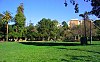 People's Park, Berkeley