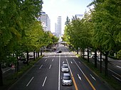 日銀前交差点歩道橋上から桜通のイチョウ並木を望む（西方向）。 （中区丸の内、2012年（平成24年）11月）