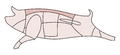 Vorschaubild der Version vom 13:36, 19. Jan. 2013