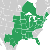 Symphyotrichum praealtum distribution map