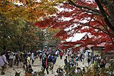 明治の森高尾国定公園 （高尾山）