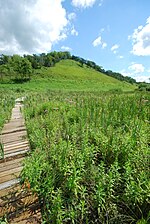 Wetland Boardwalk toward Ridge