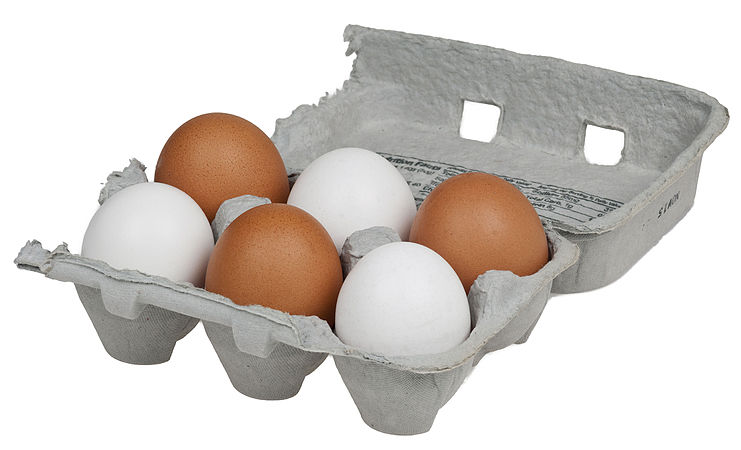 Chicken Eggs