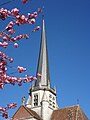 Le clocher tors de l'église Notre-Dame.