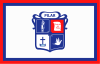 Flag of Pilar