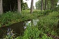 Lache im westlichen Bereich des Naturschutzgebietes „Brackenbruch bei Hergershausen“