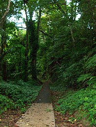 Bulusan Lake Loop Way