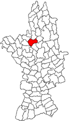 Location in Olt County