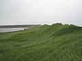 Dunes at Cavendish Beach