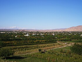 Dvin (Ararat)