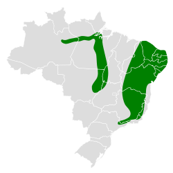 Distribución geográfica del hornero colibandeado.