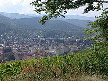 Vue de la ville de Guebwiller