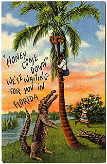Two alligators menace a stereotyped black man clambering into a stereotyped palm tree, a woman in colorful dress runs away comically screaming; original caption: "Honey come down we are waiting for you in Florida"