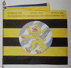 Älvsborgs regementes fana 1995 - fanan överlämnades av ÖB, general Owe Wiktorin, till dåvarande Älvsborgs regemente. Idag föres fanan av Elfsborgsgruppen i Sjuhäradsområdet och förvaras i Borås.