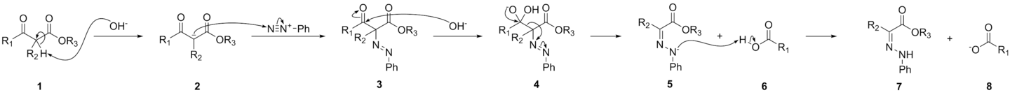 The Japp-Klingemann reaction mechanism