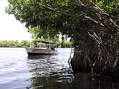 A boat in the lagoon