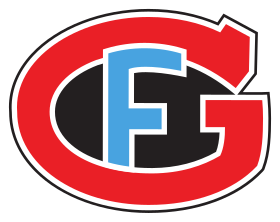 Bilan saison par saison du Hockey Club Fribourg-Gottéron