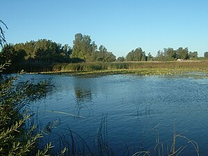 View of a channel through the marsh in Long Point Bay.