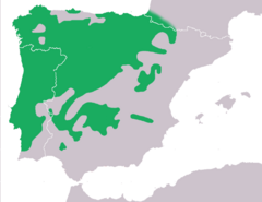 Distribución de H. molleri