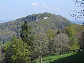 Vue du mont Terri.