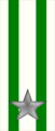 45th and 46th Regiment "Reggio" ("Sabaudia")
