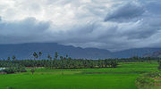 Hills from Nagercoil