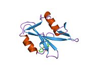 1zfp: GROWTH FACTOR RECEPTOR BINDING PROTEIN SH2 DOMAIN COMPLEXED WITH A PHOSPHOTYROSYL PENTAPEPTIDE