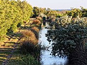 Paysage du parc naturel régional de Camargue.