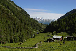 Vue typique du val de Tourtemagne.