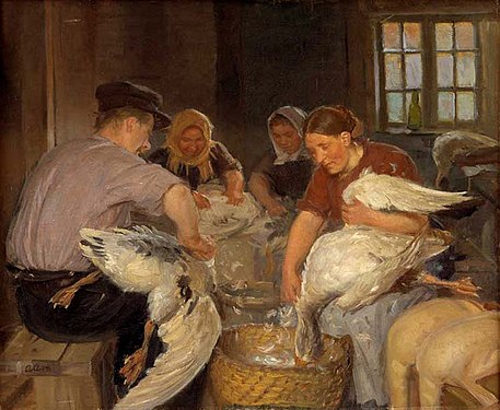 Spennatura delle oche di Natale, 1904